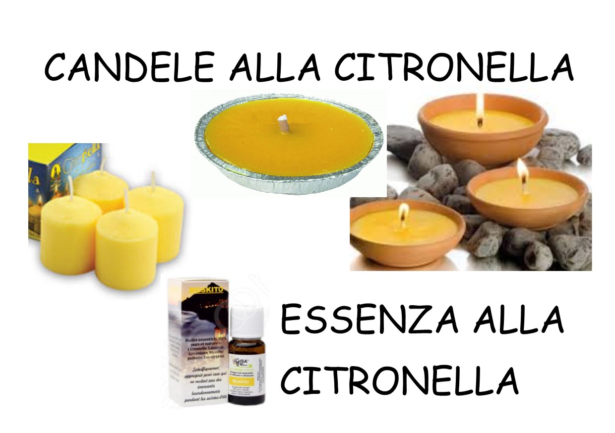 Citronella