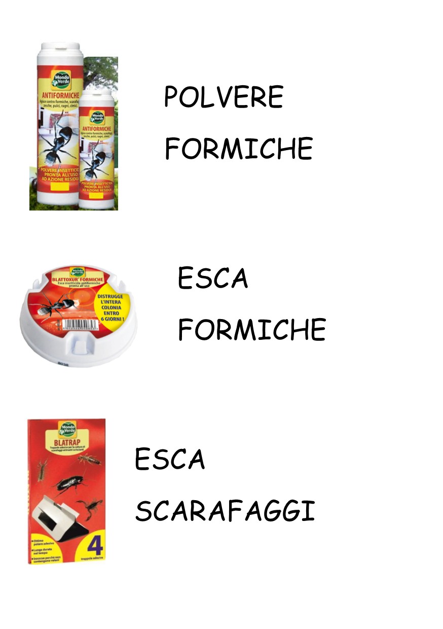 Insetticida_Formiche_e_Scarafaggi
