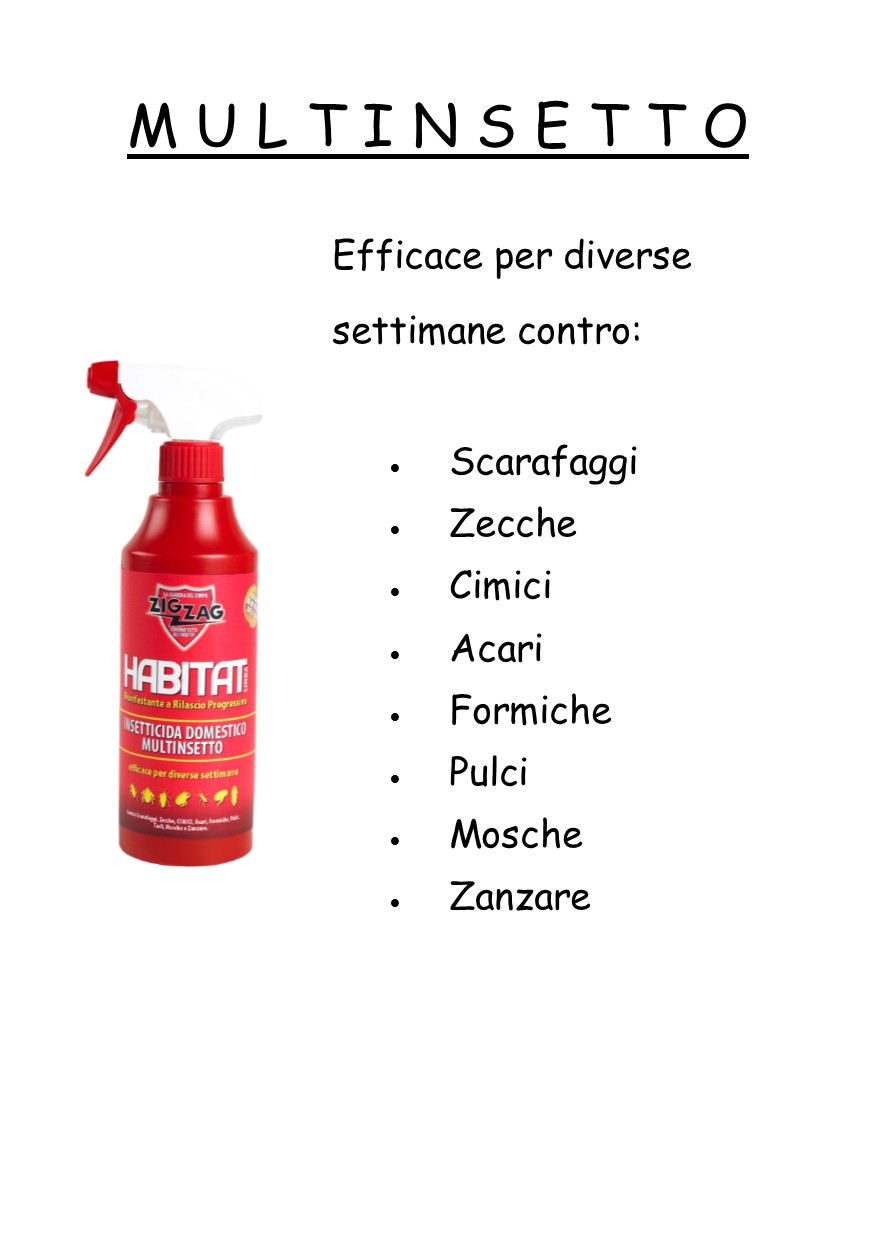 Multinsetto