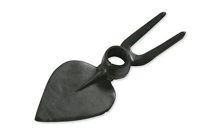 Zappa_forgiata